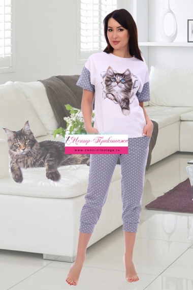 Костюм Брамс - серый