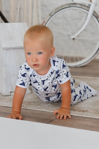 Кофточка лодочка с кор рукавом Кашалоты арт. КФ-03-кашалоты